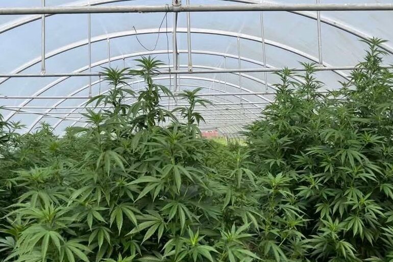 462567960 1612569899374897 5758401053341513306 n