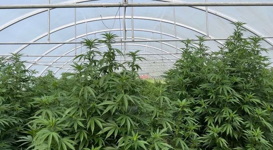 462567960 1612569899374897 5758401053341513306 n