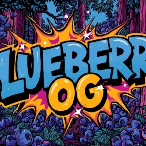 blueberry og