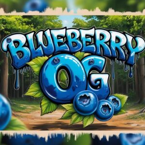 blueberry og
