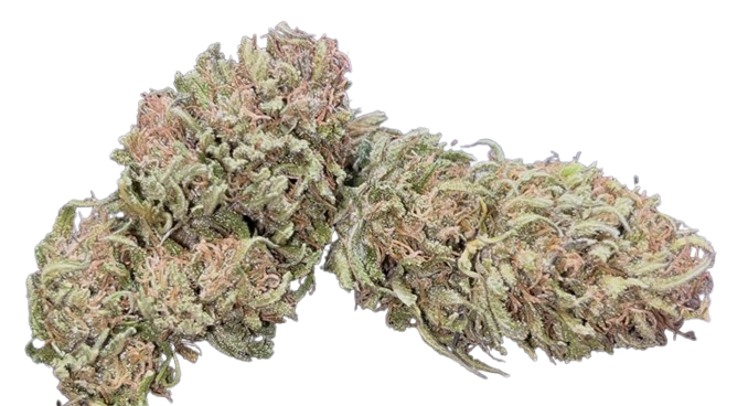 BLUEBERRY OG OUTDOOR 2025 – Image 3