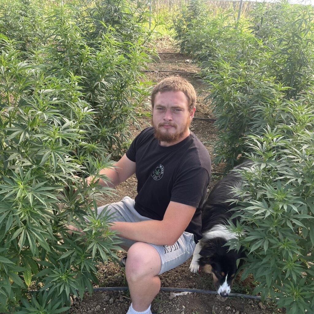 m. belleville & plantes