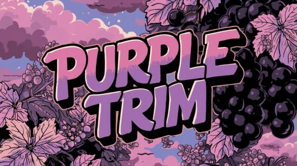 PURPLE TRIM